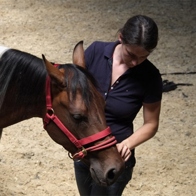 reiten-philosophie